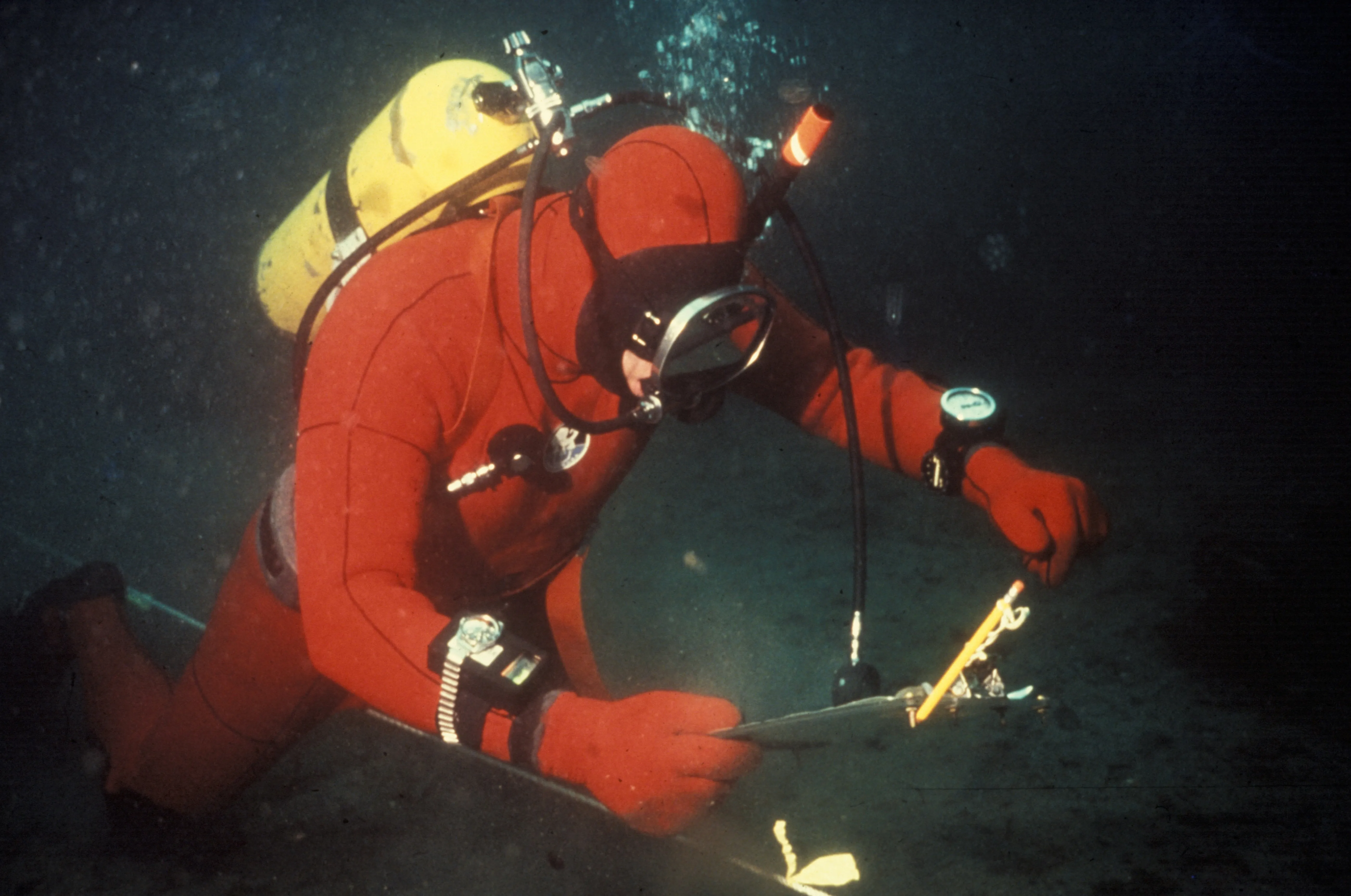 Diver Underwater