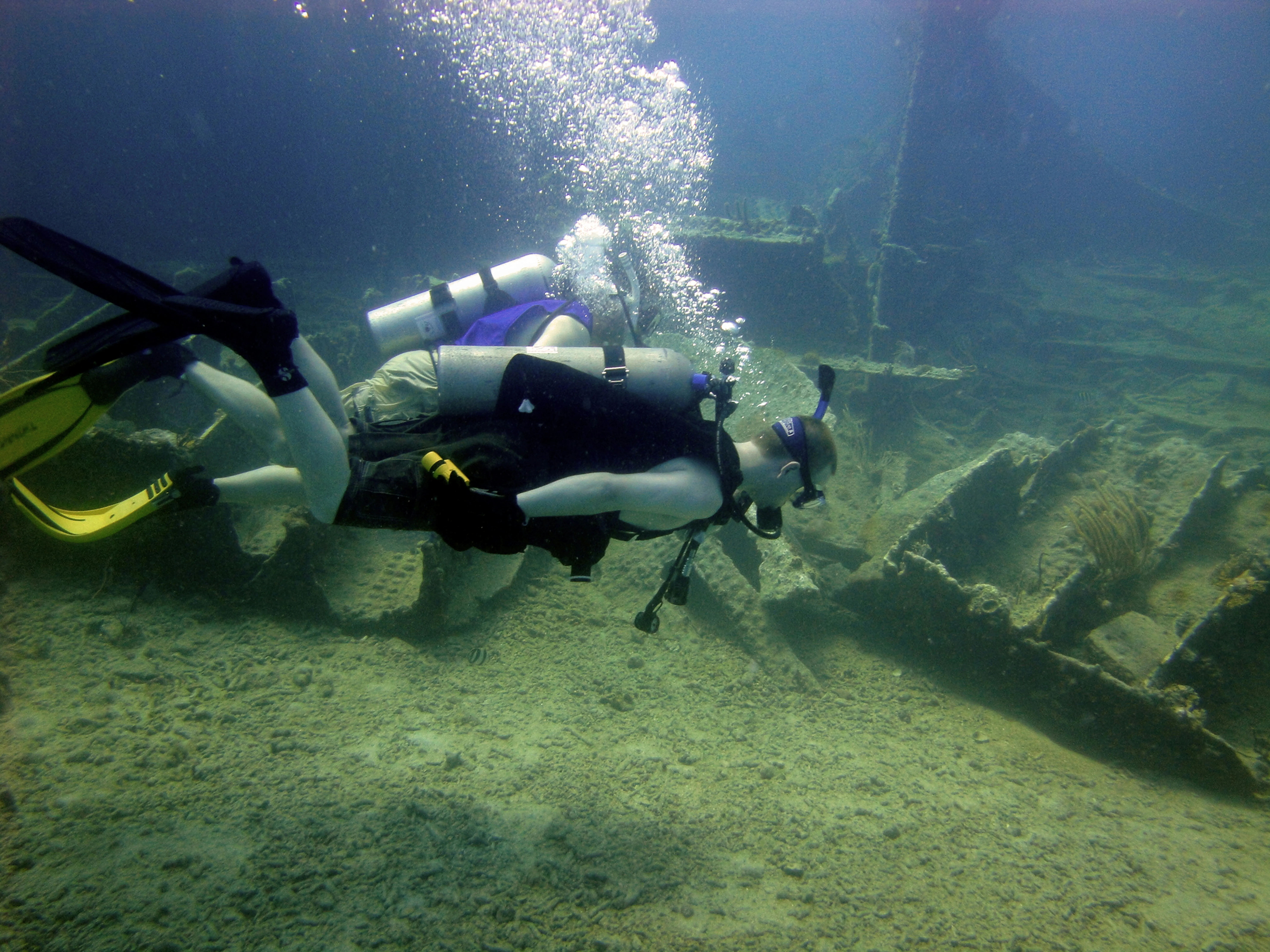 Diver Underwater