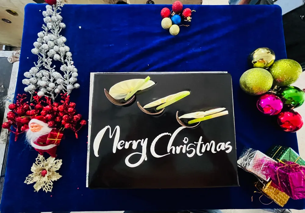Holiday Cheer
